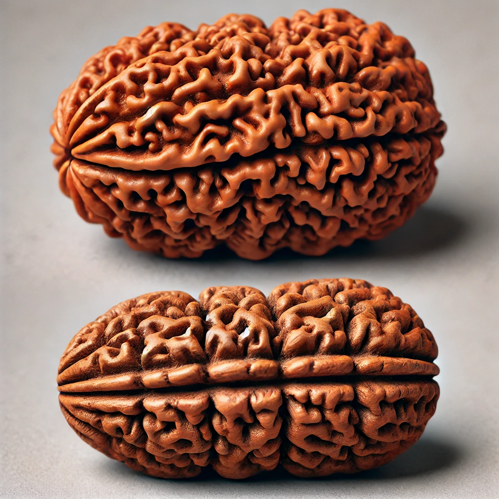 असली रुद्राक्ष की पहचान कैसे करें?  "How to Identify Original Rudraksha"